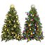 Sammlung Pflanze Band 605 - Weihnachten - Kiefer - Baum