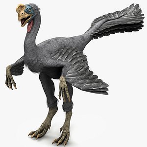 Citipati osmolskae