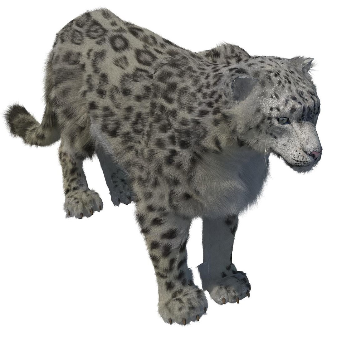 snow leopard fur 3d model