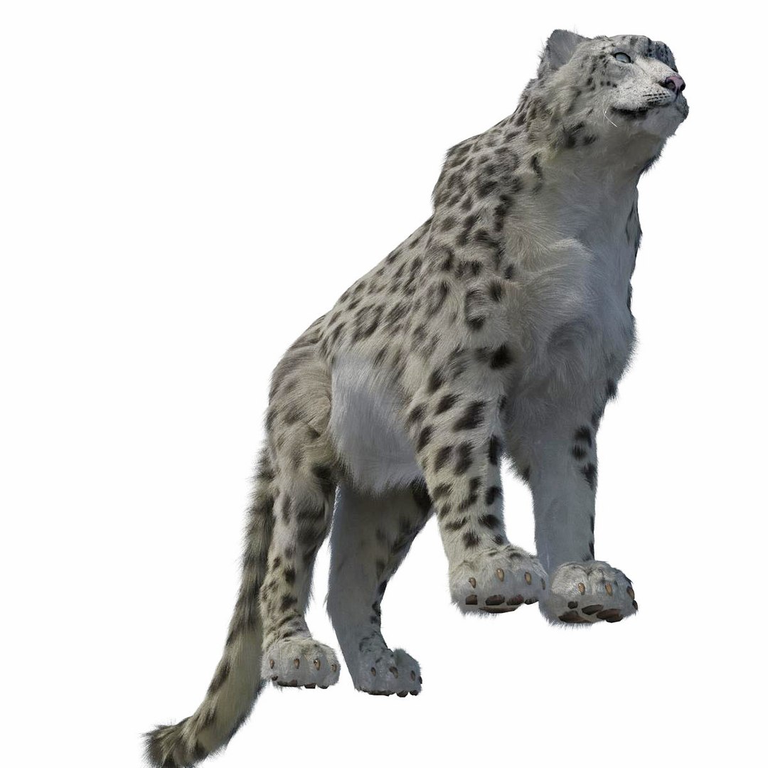 snow leopard fur 3d model
