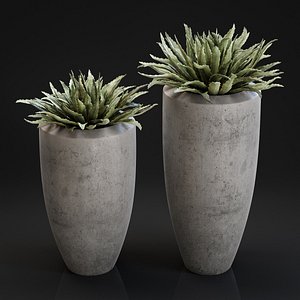 big plant concrete pot 3D model