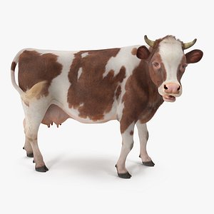 3D cow fur rigged