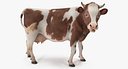 Cow with Fur Rigged
