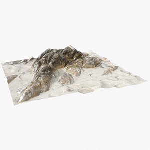Rock 3D Scan 7