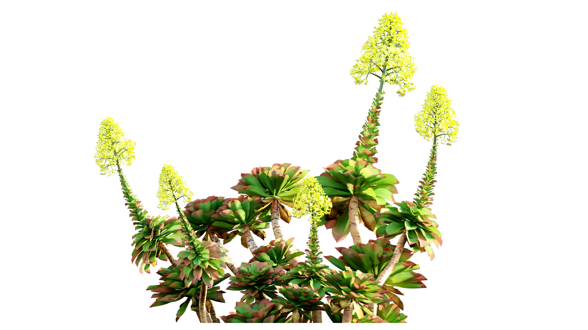 3D model Bundle 02 - Mediterranean Garden https://p.turbosquid.com/ts-thumb/u9/ABijrw/Bl/02/jpg/1621335342/1920x1080/turn_fit_q99/ba81b95a13085cb9142de1e8a40b7743c28a67bf/02-1.jpg