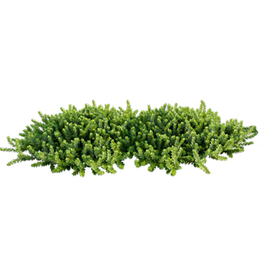 3D model Bundle 02 - Mediterranean Garden https://p.turbosquid.com/ts-thumb/u9/ABijrw/IQ/arctostaphylos_00/jpg/1621335924/1920x1080/fit_q87/1807af45b23ec264b03d42e478850fd48f9cca4b/arctostaphylos_00.jpg