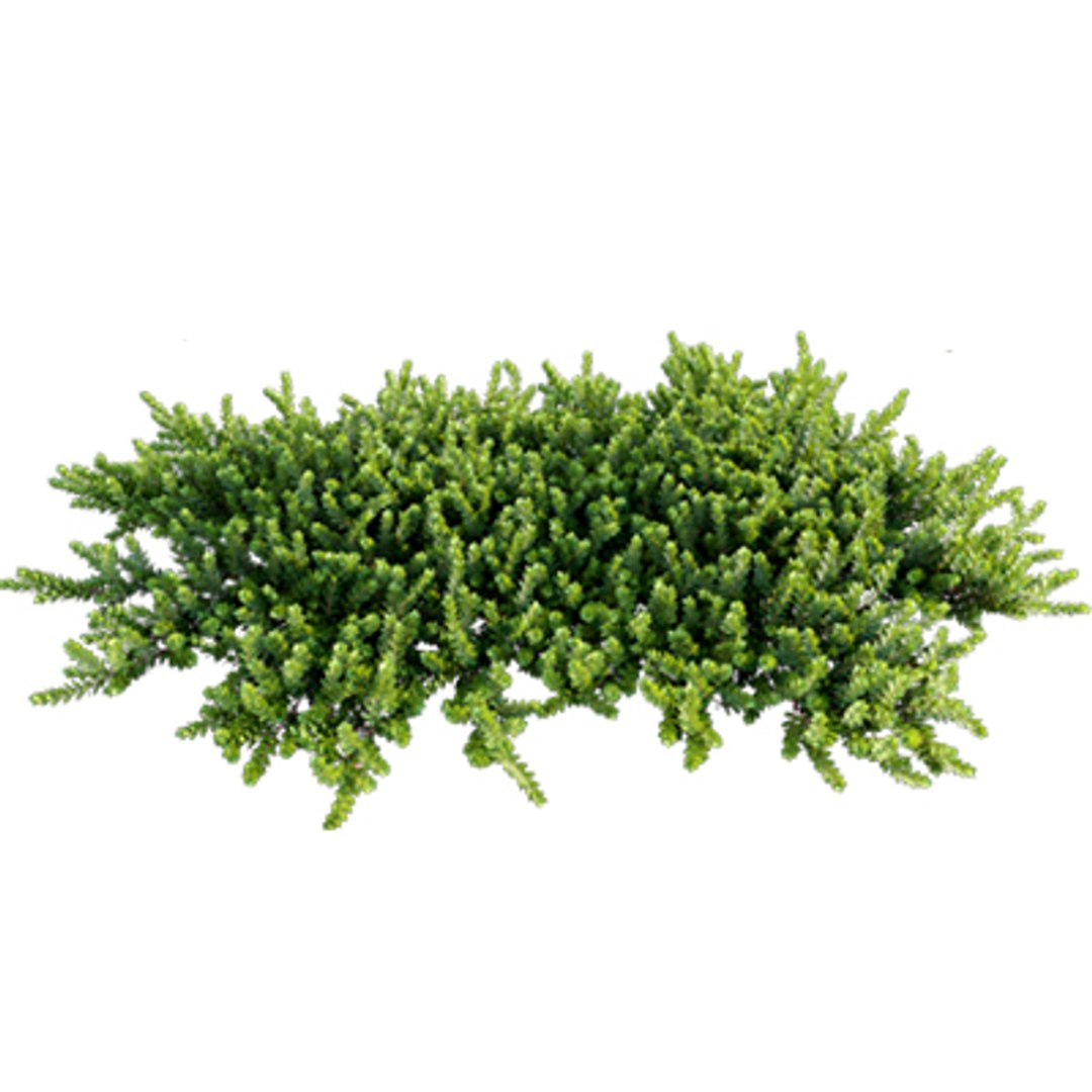 3D model Bundle 02 - Mediterranean Garden https://p.turbosquid.com/ts-thumb/u9/ABijrw/aK/arctostaphylos_02/jpg/1621335925/1920x1080/fit_q87/20de9cb4c3f92cfdeb184e6737a0e95ef6afe2cf/arctostaphylos_02.jpg