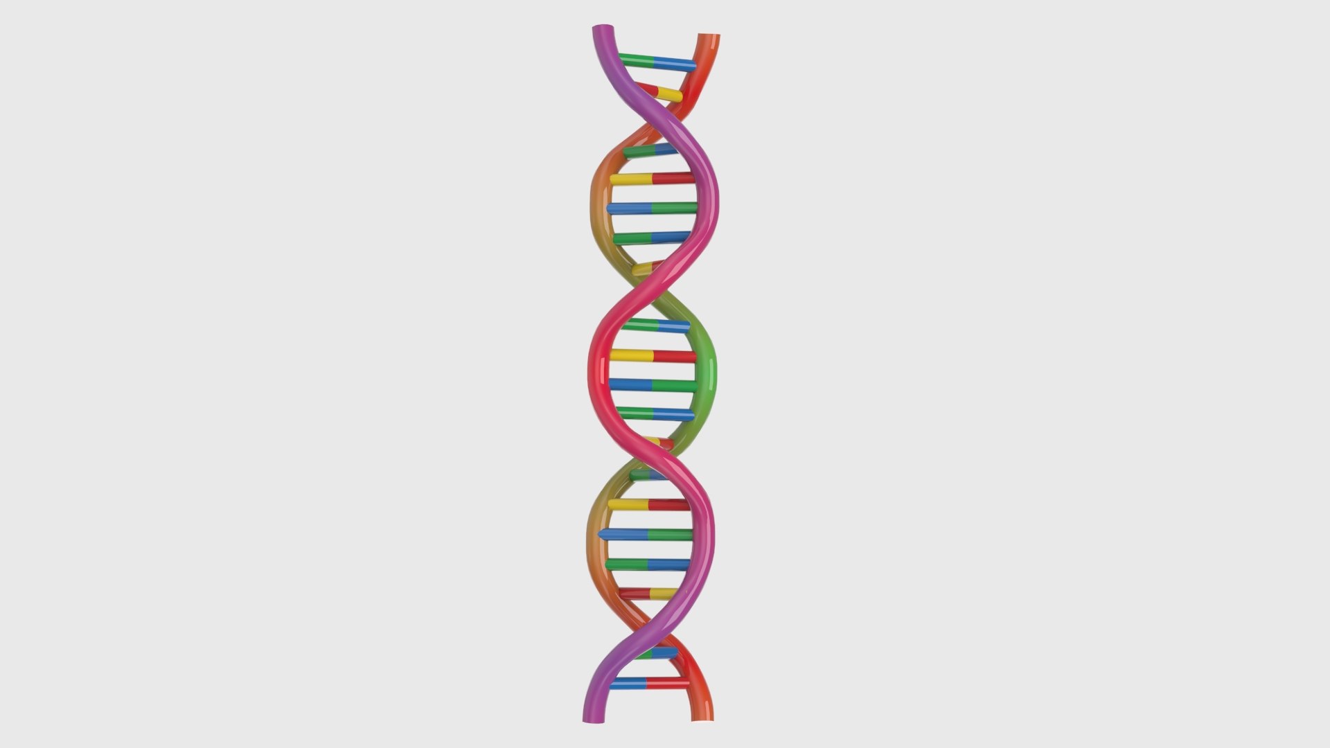 3D Structure of DNA Bundle 1 https://p.turbosquid.com/ts-thumb/u9/EDXBQa/3z/render01/jpg/1752363462/1920x1080/fit_q87/61f6674d4765f9ad71b403764d95441f657ce5d7/render01.jpg