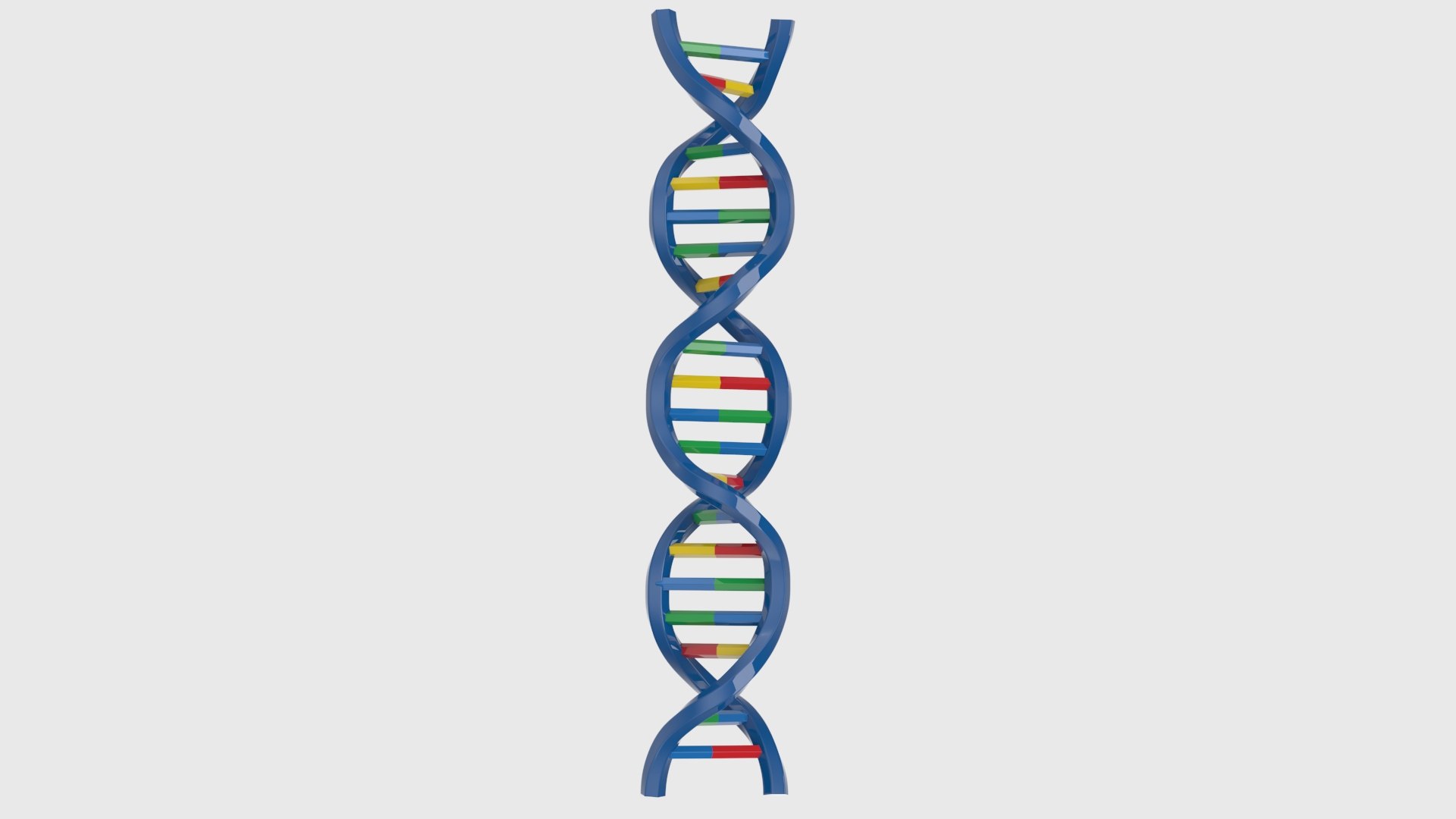 3D Structure of DNA Bundle 1 https://p.turbosquid.com/ts-thumb/u9/EDXBQa/Il/render0x1/jpg/1752363473/1920x1080/fit_q87/73b489dd80d593adaa383a0913f35b54c0857666/render0x1.jpg