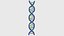 Struktur des DNA-Bündels 1