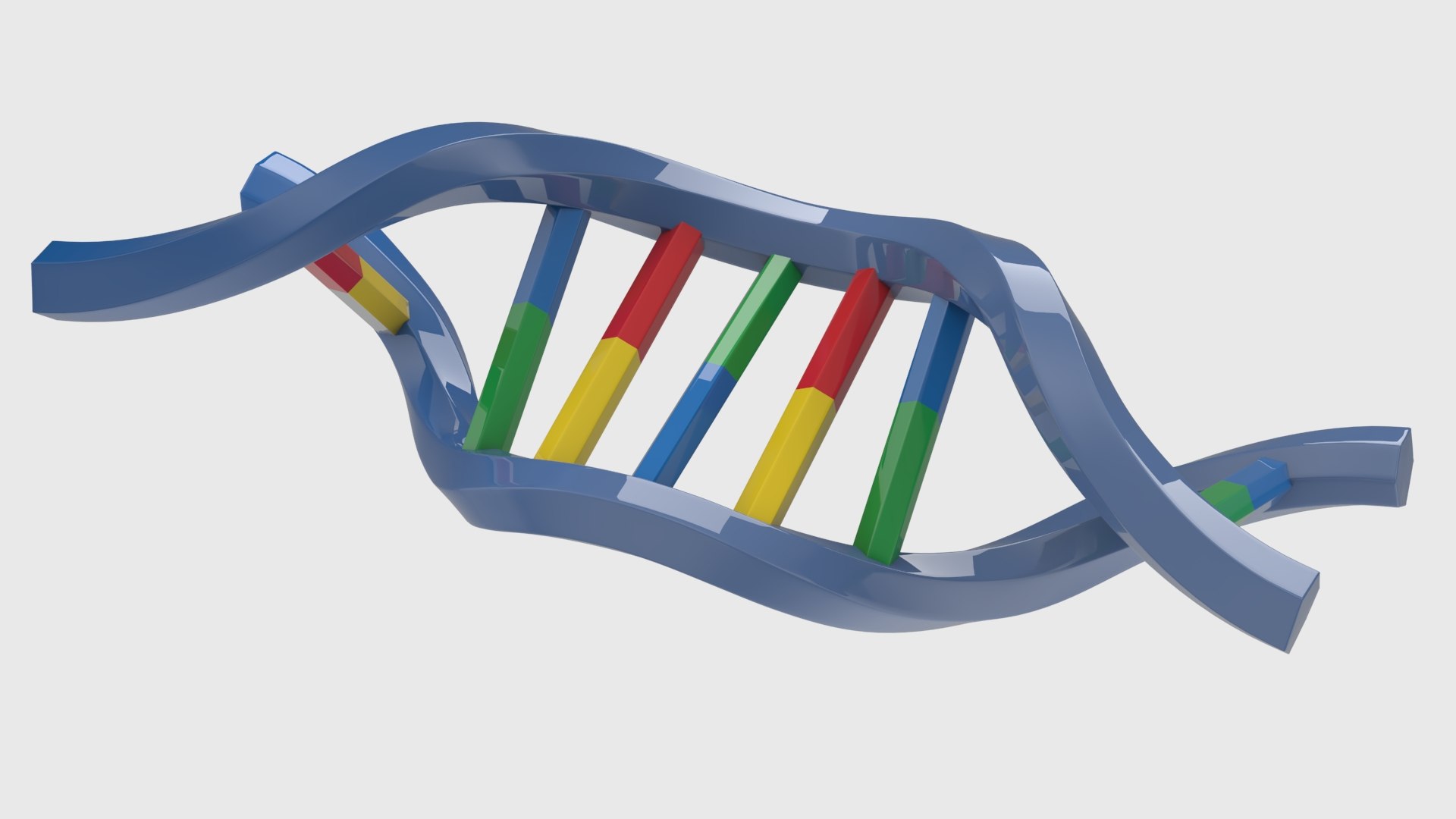 3D Structure of DNA Bundle 1 https://p.turbosquid.com/ts-thumb/u9/EDXBQa/OF/render03/jpg/1752363507/1920x1080/fit_q87/bfa0d42f41ea1d9b9396e13171ae430709ee57a9/render03.jpg