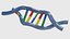 Struktur des DNA-Bündels 1