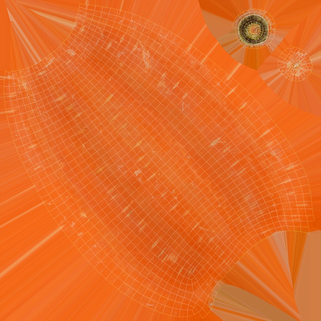 carrot set 3D model https://p.turbosquid.com/ts-thumb/u9/InOoMS/8v/16/jpg/1612925824/1920x1080/fit_q87/6052d06d626483dd1848aac232fc16da237e394d/16.jpg