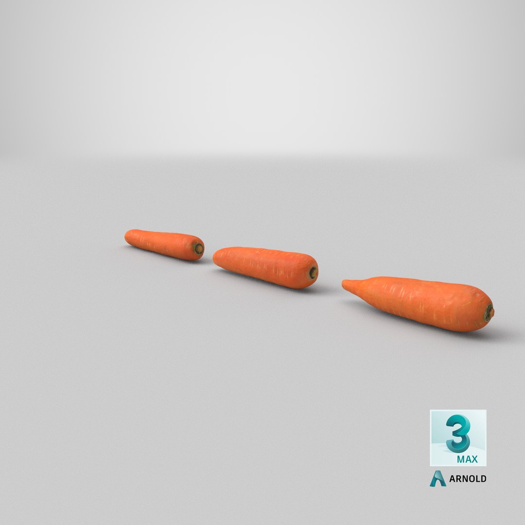 carrot set 3D model https://p.turbosquid.com/ts-thumb/u9/InOoMS/B7/stemcell_max_arnold_render/png/1614392650/1920x1080/fit_q87/52b795c7b0275d859561e8f49bf8429f37a01761/stemcell_max_arnold_render.jpg