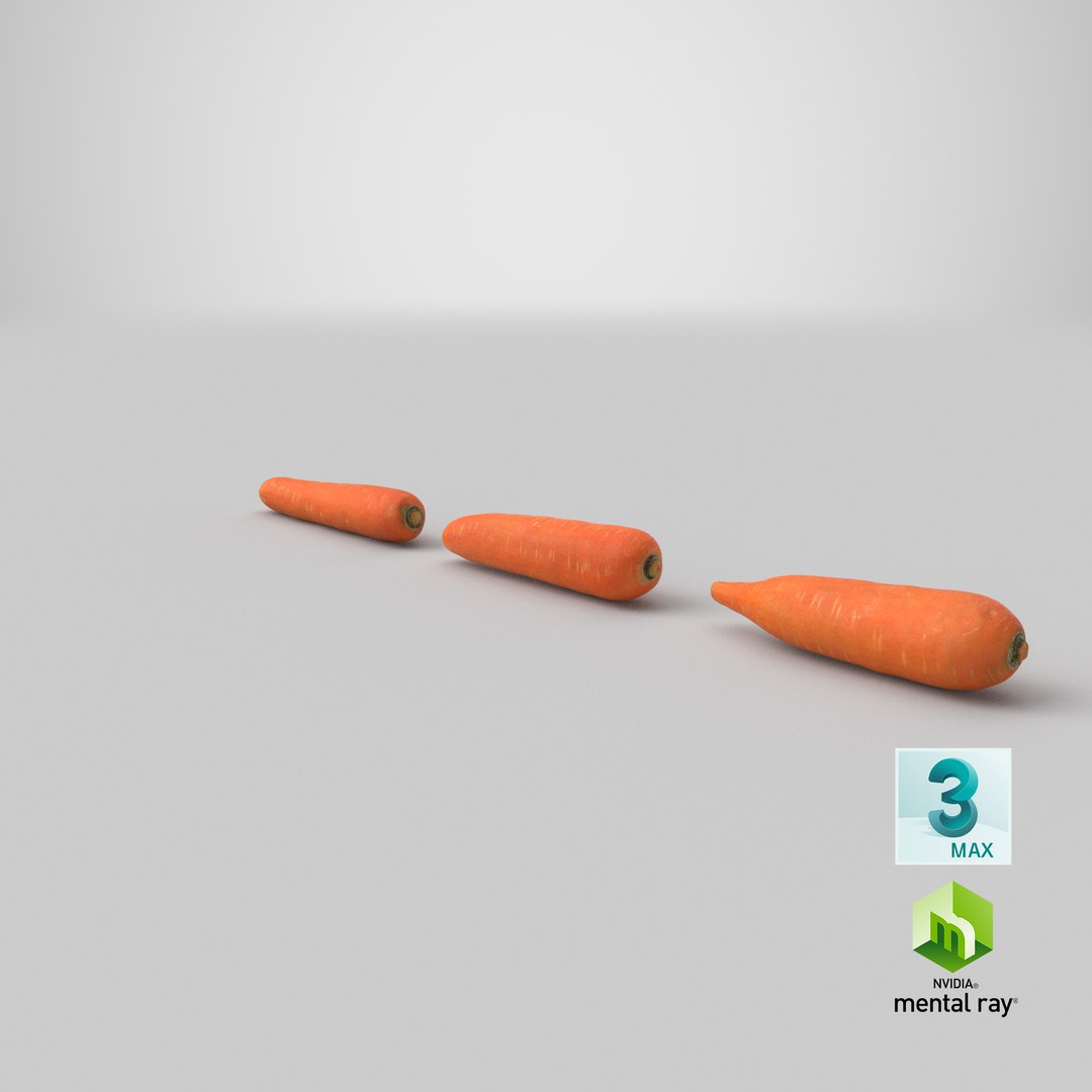 carrot set 3D model https://p.turbosquid.com/ts-thumb/u9/InOoMS/Dj/stemcell_max_mental_ray_render/png/1614392651/1920x1080/fit_q87/bec0fb10c6219f16a1cb48d090c6dc7f08449a3a/stemcell_max_mental_ray_render.jpg