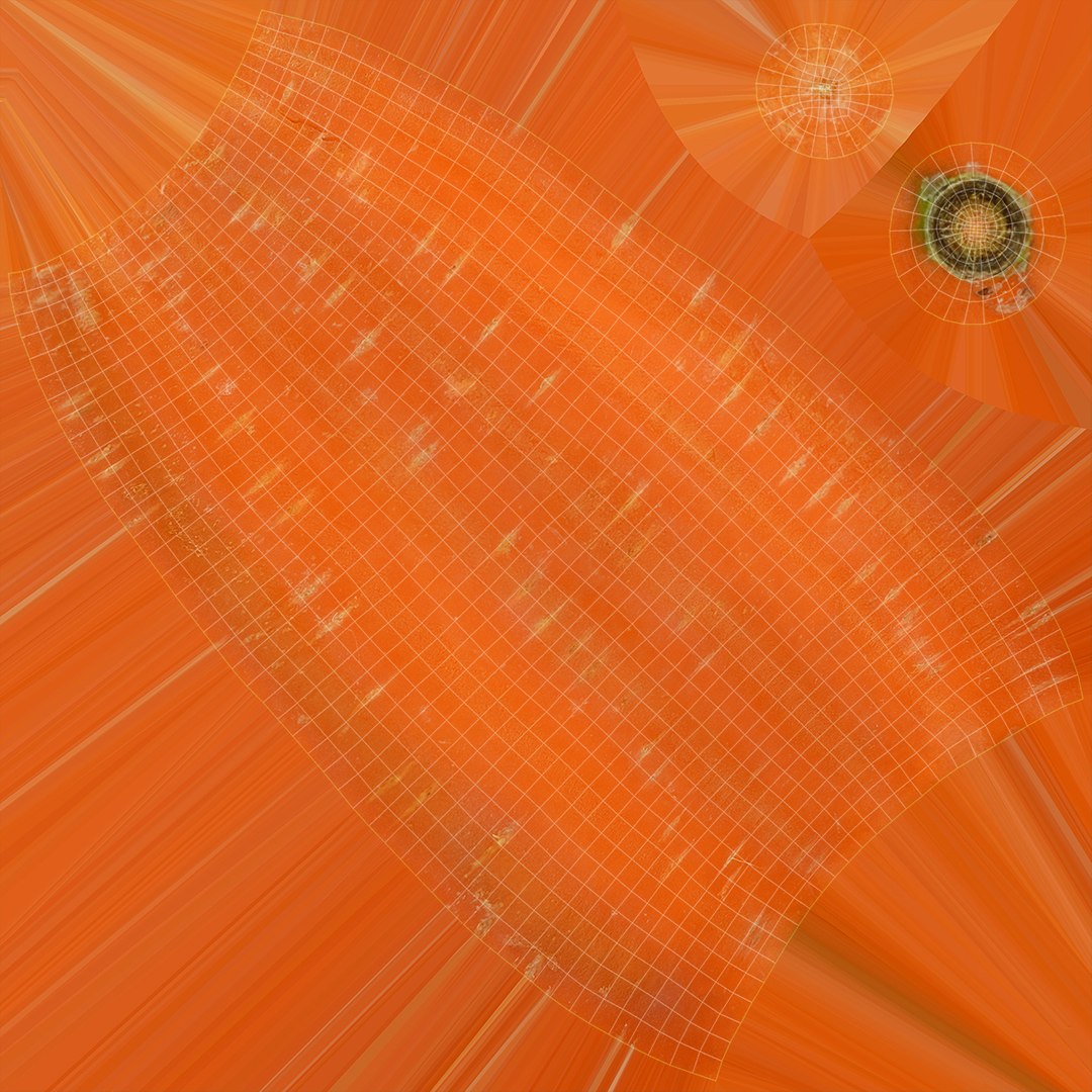 carrot set 3D model https://p.turbosquid.com/ts-thumb/u9/InOoMS/TN/26/jpg/1612925824/1920x1080/fit_q87/199f18b2dc99ed004a4e11dc561290e26783e8f6/26.jpg