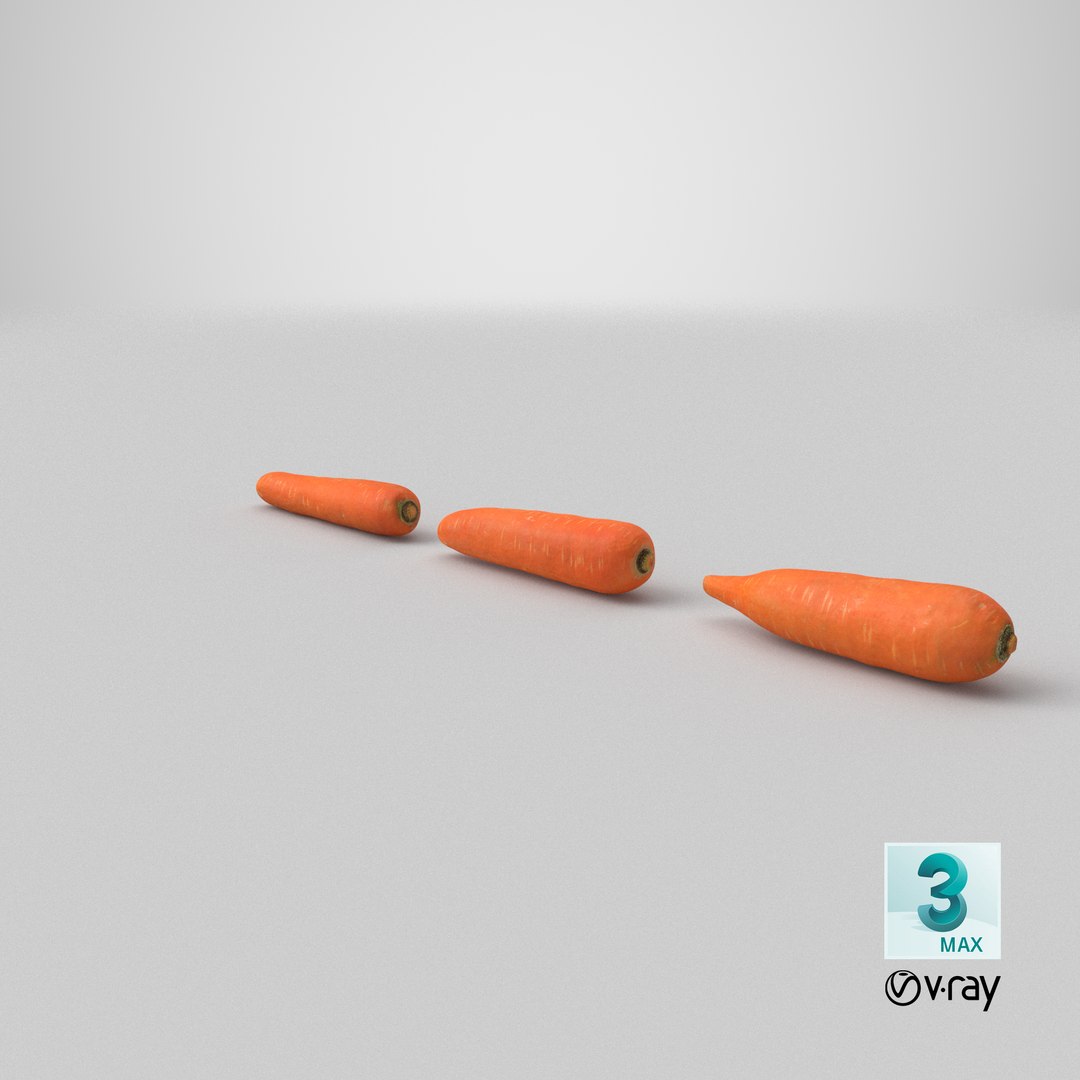 carrot set 3D model https://p.turbosquid.com/ts-thumb/u9/InOoMS/fb/stemcell_max_vray_render/png/1614392652/1920x1080/fit_q87/ddd6c278563a5c8cb7a24e9da1d5057d0e3cf481/stemcell_max_vray_render.jpg