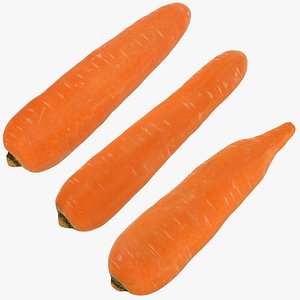 carrot set 3D model