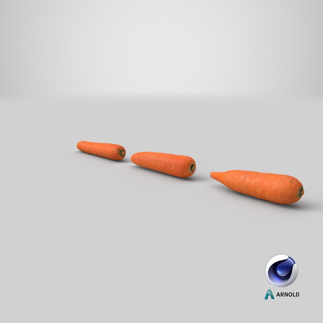 carrot set 3D model https://p.turbosquid.com/ts-thumb/u9/InOoMS/rQ/stemcell_cinema_4d_arnold_render/png/1614392647/1920x1080/fit_q87/5557010ddddcec9aaa4939ebfd29e676737ab318/stemcell_cinema_4d_arnold_render.jpg