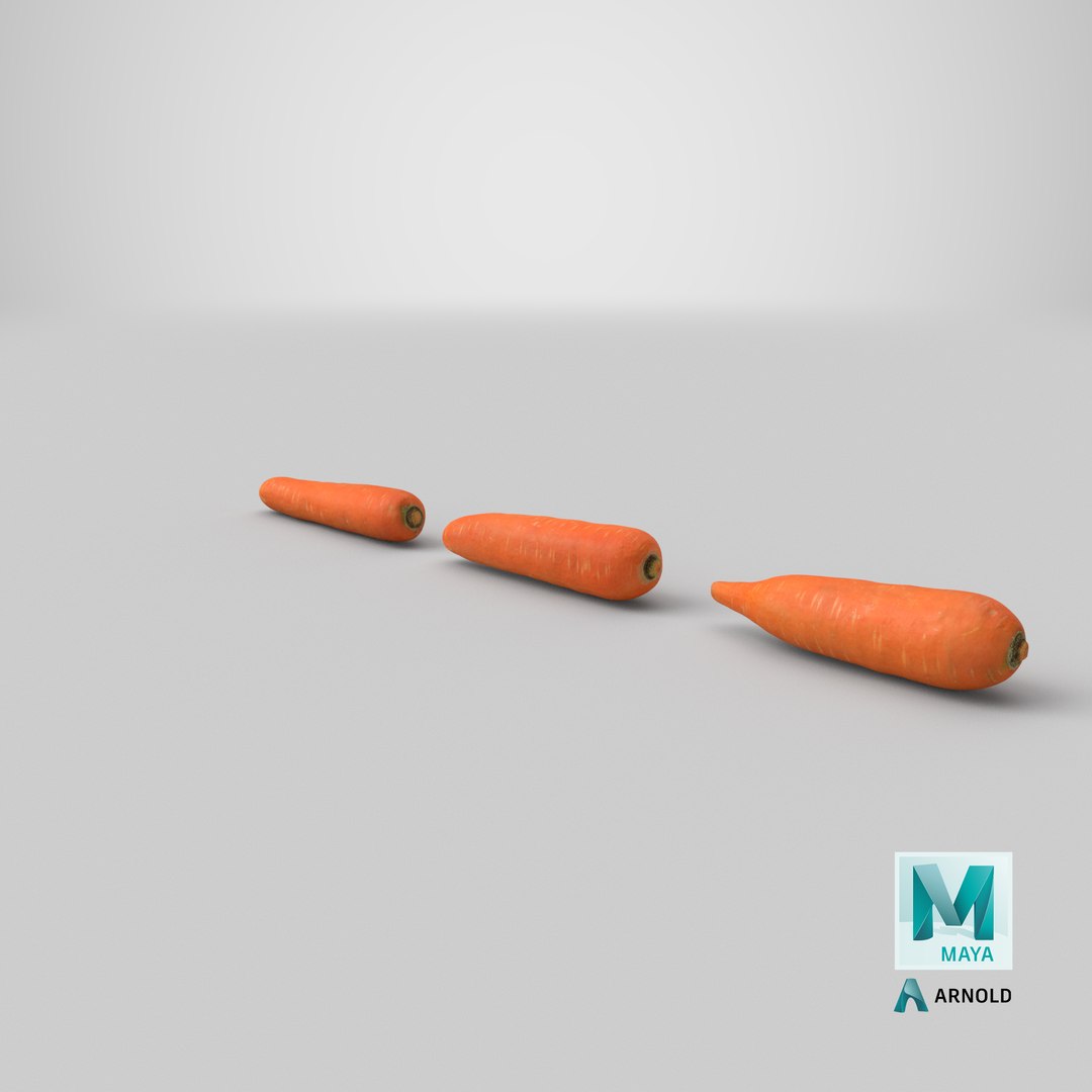 carrot set 3D model https://p.turbosquid.com/ts-thumb/u9/InOoMS/v2/stemcell_maya_arnold_render/png/1614392656/1920x1080/fit_q87/70946e2f74d82cb830bf71a148a9ae6680764e35/stemcell_maya_arnold_render.jpg