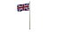 3D Pole Flag UK model