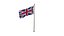 3D Pole Flag UK model