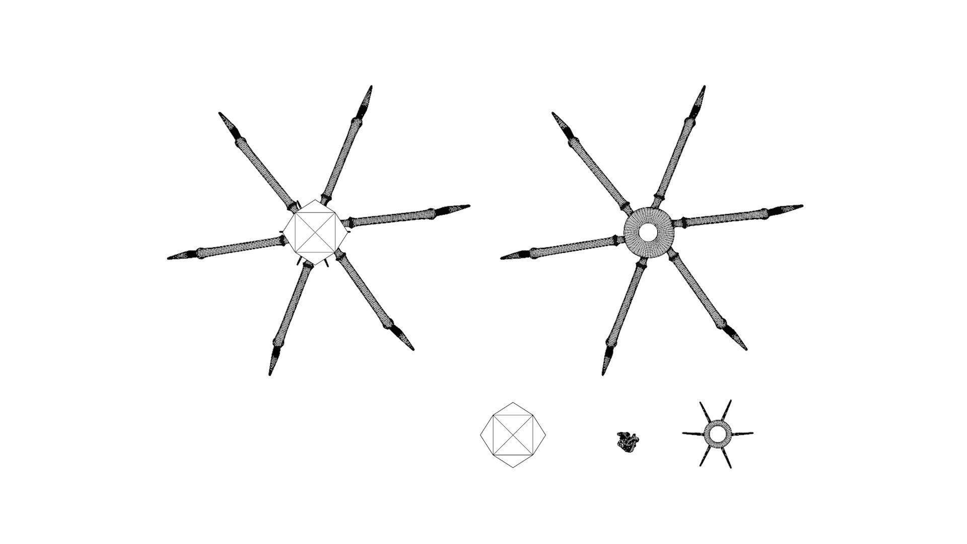 Bacteriophage Anatomy 3D model https://p.turbosquid.com/ts-thumb/u9/JRhP8m/fa/bacteriophage_wireframe_03/png/1677833632/1920x1080/fit_q87/e8b9253541d7584f3d4ef2e5f9307980889251e2/bacteriophage_wireframe_03.jpg