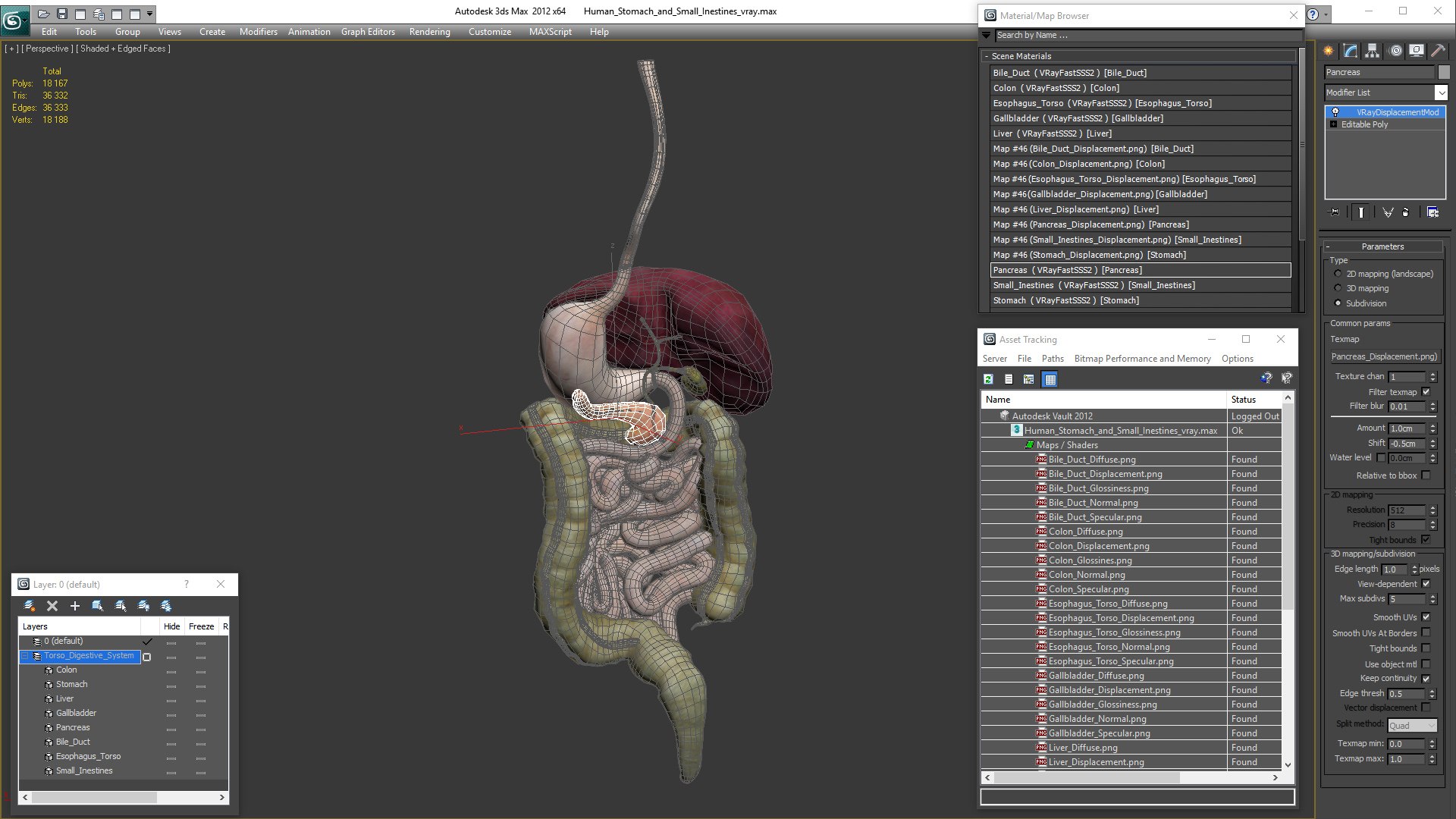 3D human stomach small intestine - TurboSquid 1469290