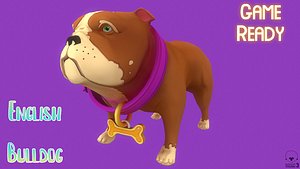 Brown English Bulldog