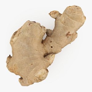 3D Ginger Root 03 model