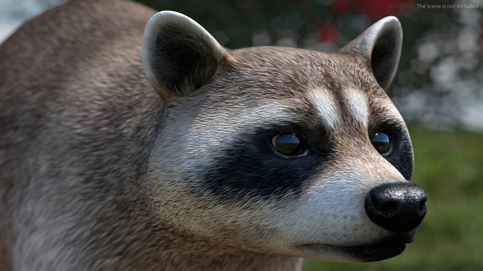 3D model Raccoon - TurboSquid 1872808