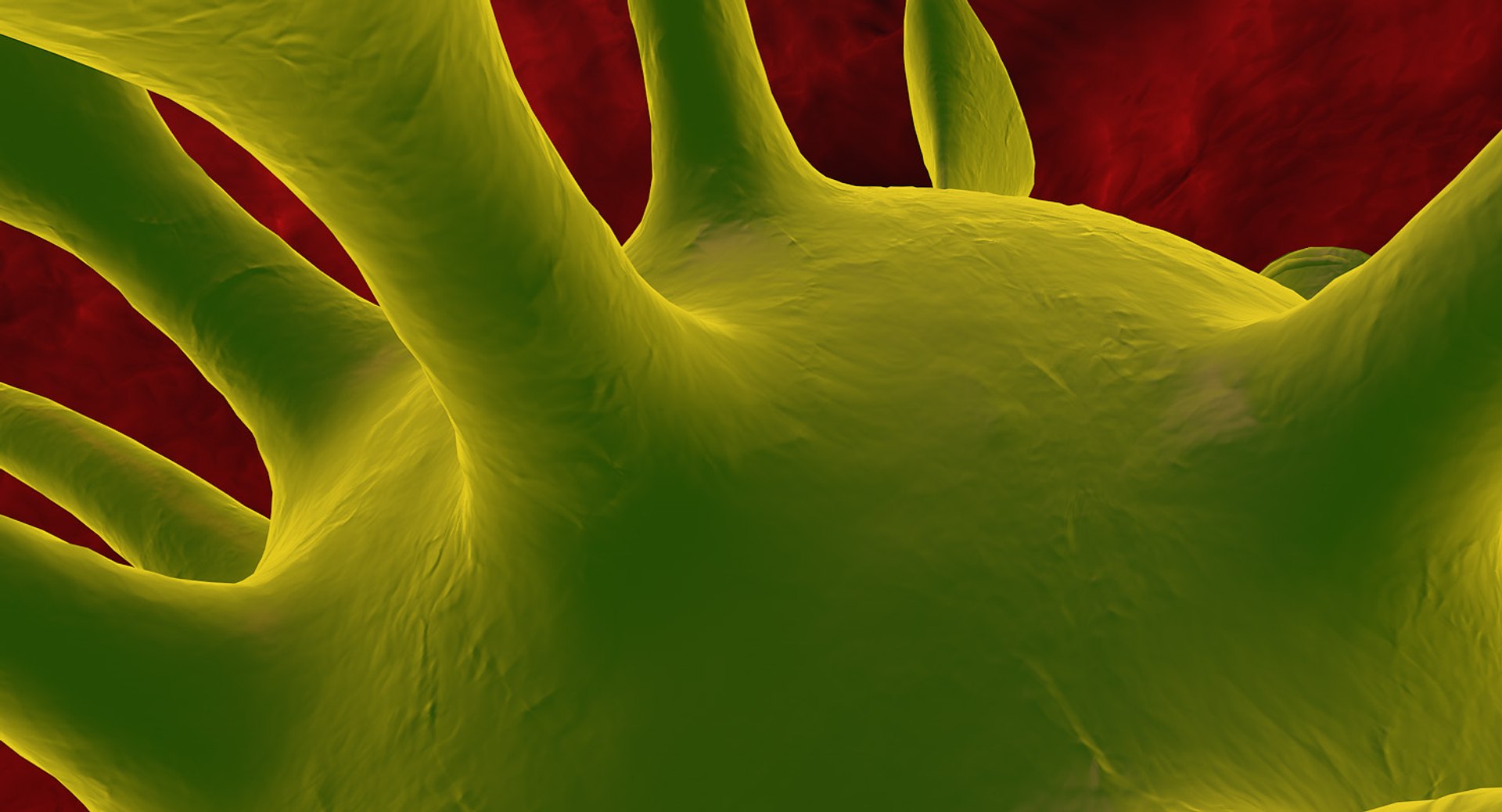 c4d micro microbe https://p.turbosquid.com/ts-thumb/u9/UJm2lL/2jT8fJmd/microbe0009/jpg/1452375212/1920x1080/fit_q87/d036cd783ec3bc549fa5b66b6c87602cd7bc59d0/microbe0009.jpg