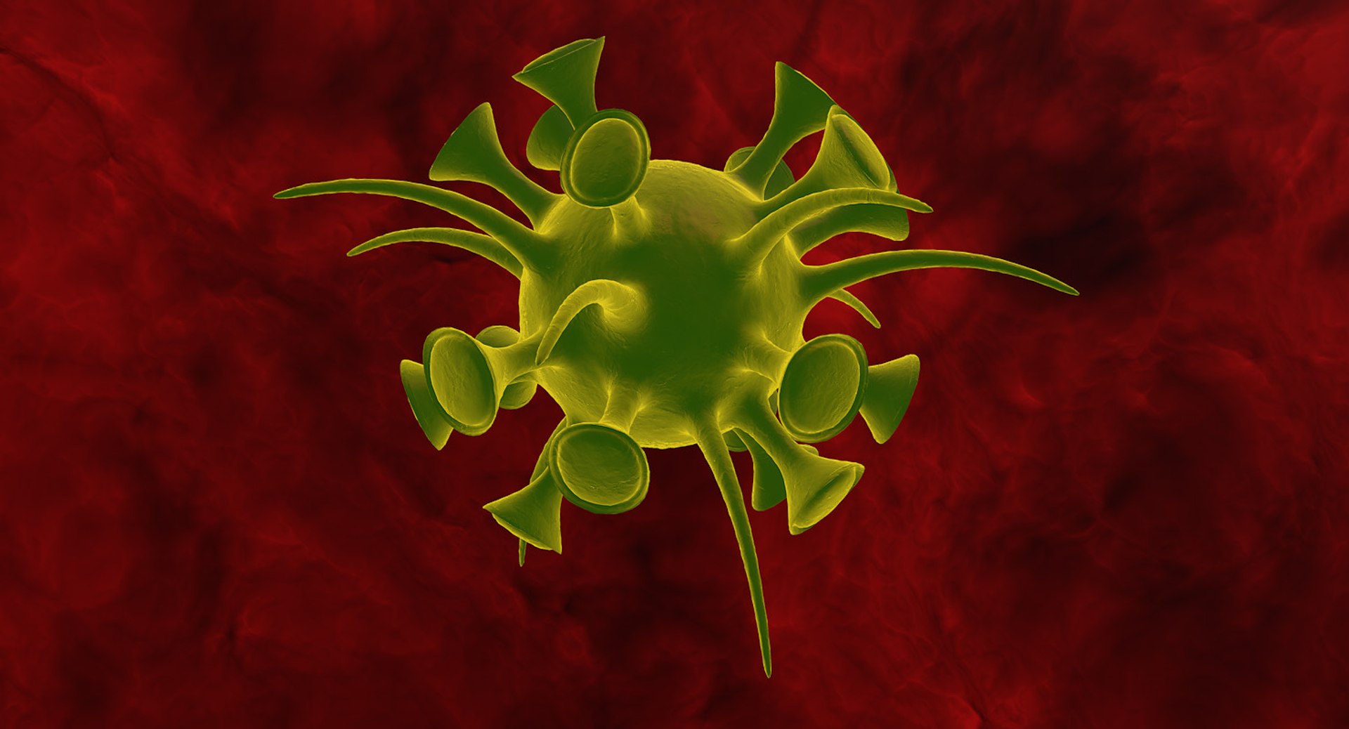 c4d micro microbe https://p.turbosquid.com/ts-thumb/u9/UJm2lL/39EgtTun/microbe0001/jpg/1452375212/1920x1080/fit_q87/057406e1a399db2b9fe5057fd3d57265fc8448d3/microbe0001.jpg