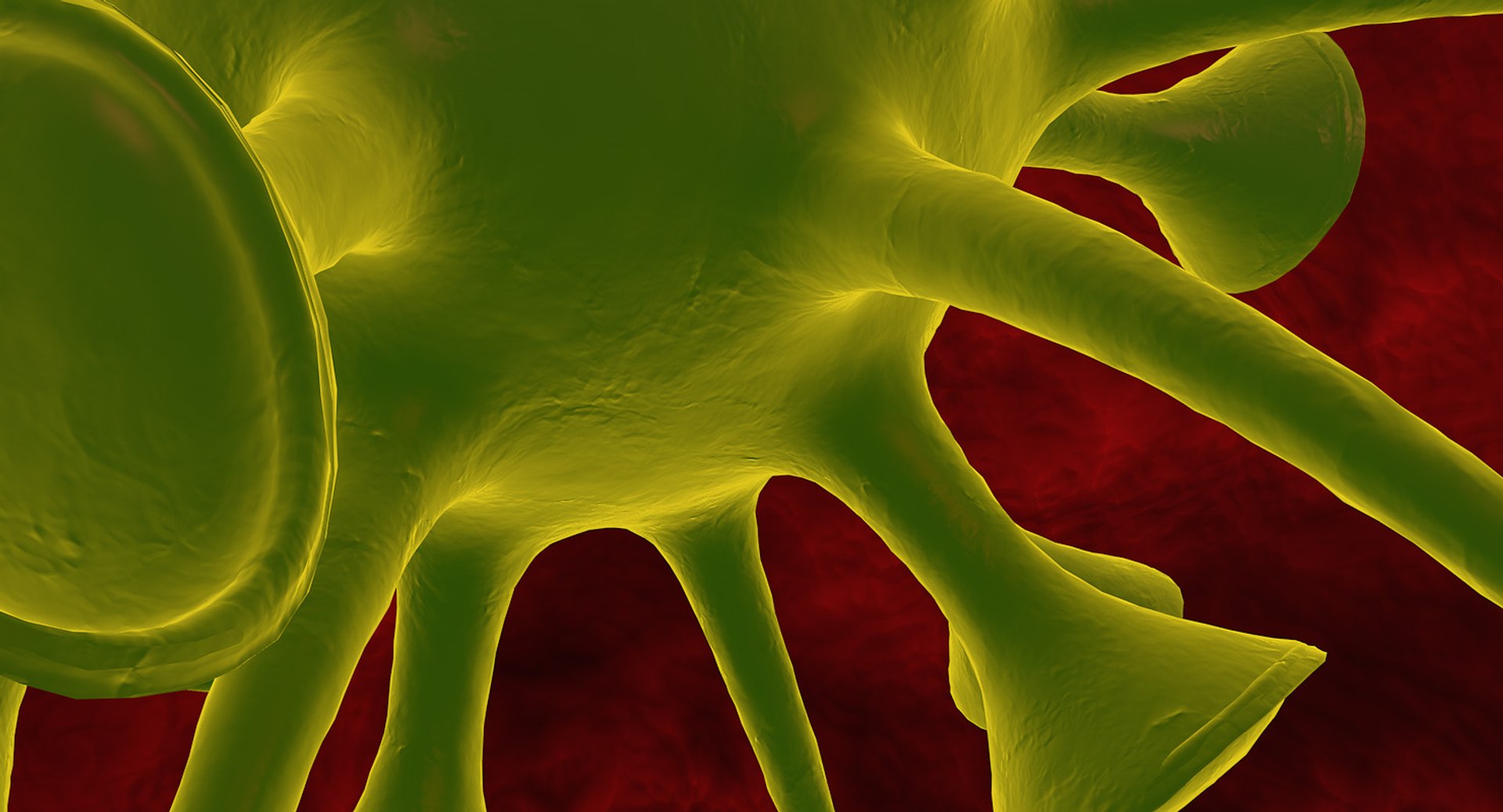 c4d micro microbe https://p.turbosquid.com/ts-thumb/u9/UJm2lL/MTTxWapW/microbe0011/jpg/1452375212/1920x1080/fit_q87/3a01ebd1b69728a82b5a5b7620b8e76825a94bca/microbe0011.jpg