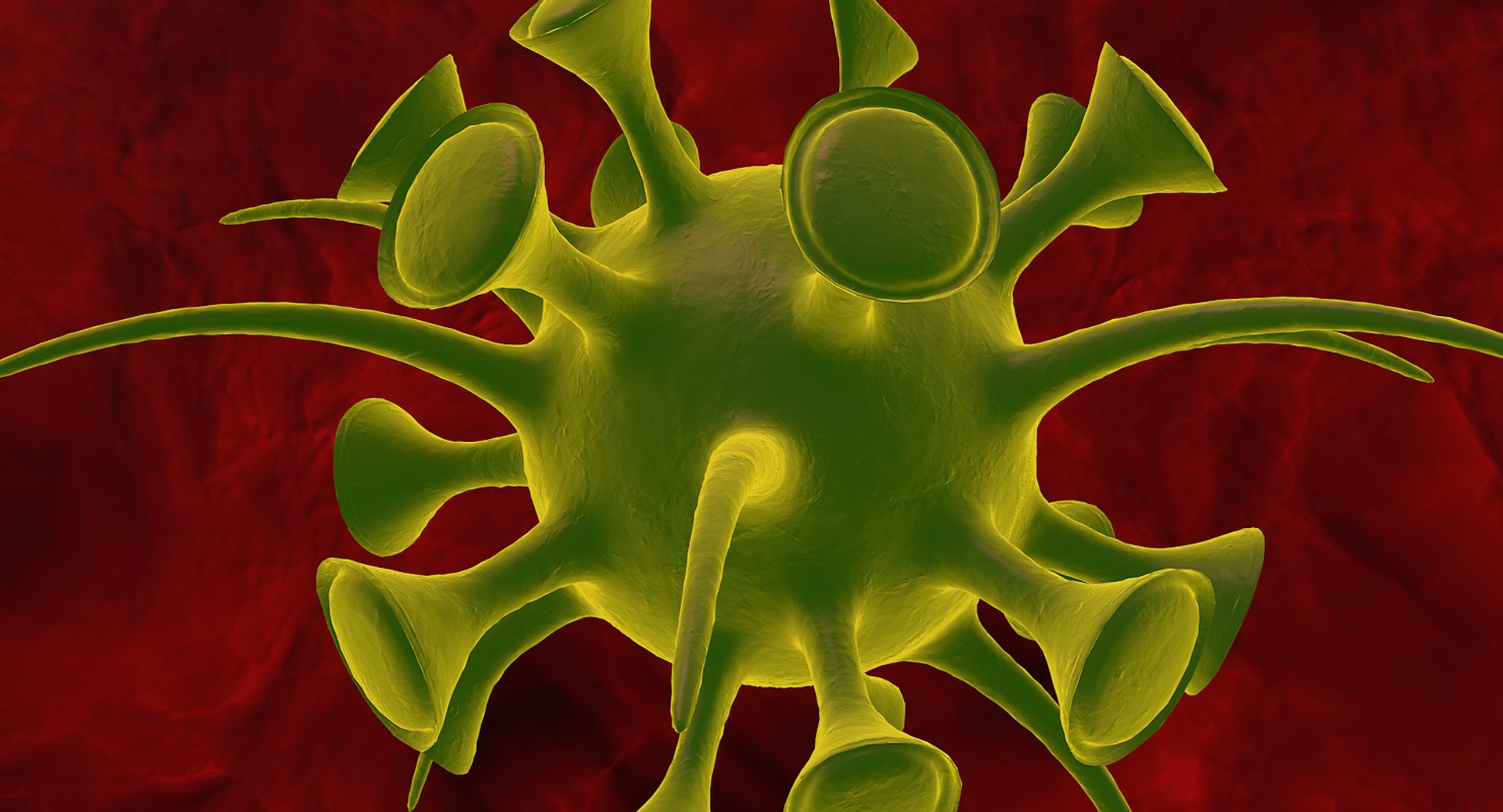 c4d micro microbe https://p.turbosquid.com/ts-thumb/u9/UJm2lL/fFDPXhcD/microbe0007/jpg/1452375212/1920x1080/fit_q87/d3f6c4ddc45714c8063b2c4aba888847592f7a68/microbe0007.jpg