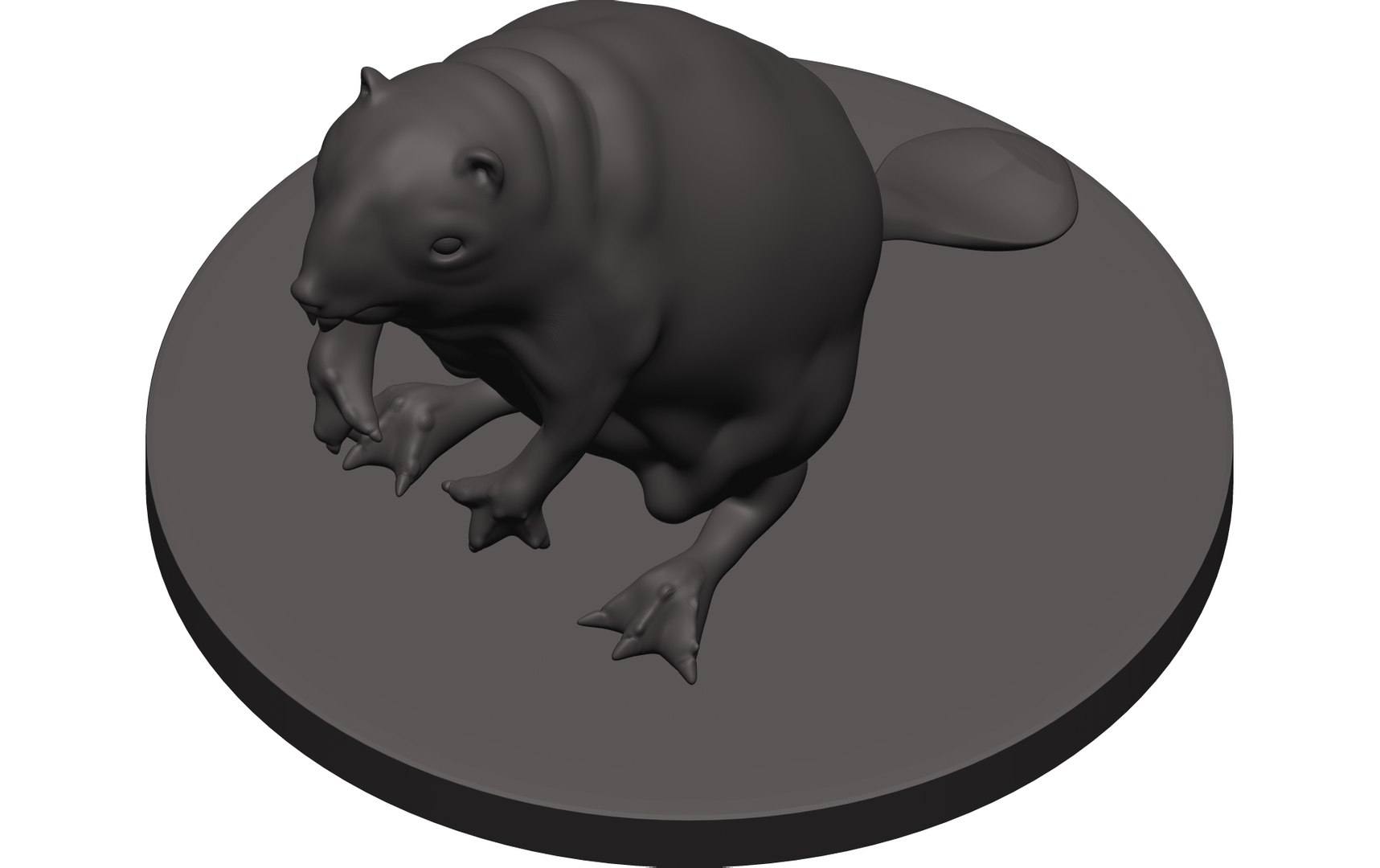 Beaver model - TurboSquid 1848551