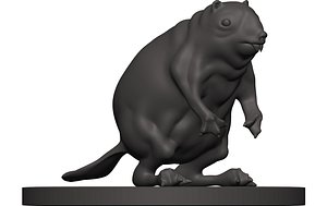 Beaver model
