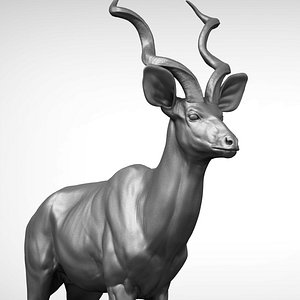 greater kudu 3D model
