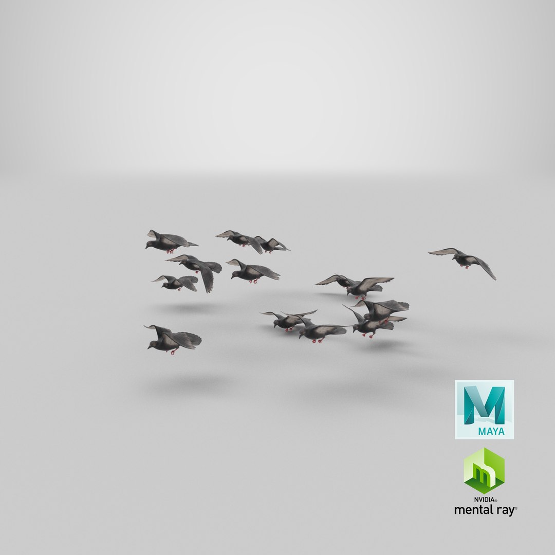 flock flying pigeons small 3D https://p.turbosquid.com/ts-thumb/u9/nsfp3v/tXkDygQE/stemcell_maya_mental_ray_render/png/1546886005/1920x1080/fit_q87/7037391fc7f10d10465934b9864aa5f9fd67756a/stemcell_maya_mental_ray_render.jpg