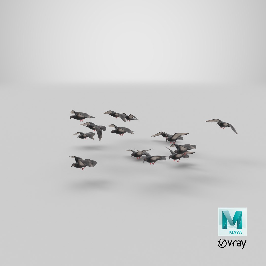 flock flying pigeons small 3D https://p.turbosquid.com/ts-thumb/u9/nsfp3v/vzIA0a0c/stemcell_maya_vray_render/png/1546886002/1920x1080/fit_q87/ada92a2e1a5297fa356e8dc5936c6430c10cec06/stemcell_maya_vray_render.jpg