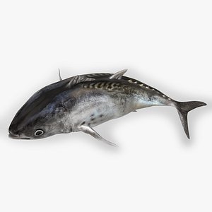 TUNA FISH Rigged L1546