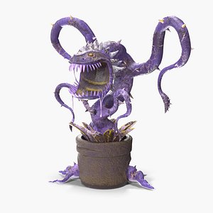 Carnivorous Flytrap Plant Purple