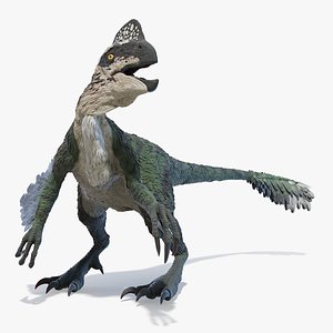 Oviraptor Animated 3D model