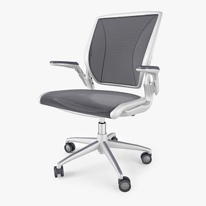 Humanscale Diffrient World Chair