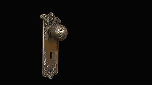 Door Knob