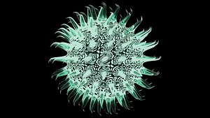 3D virus 1