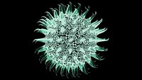 Virus 1