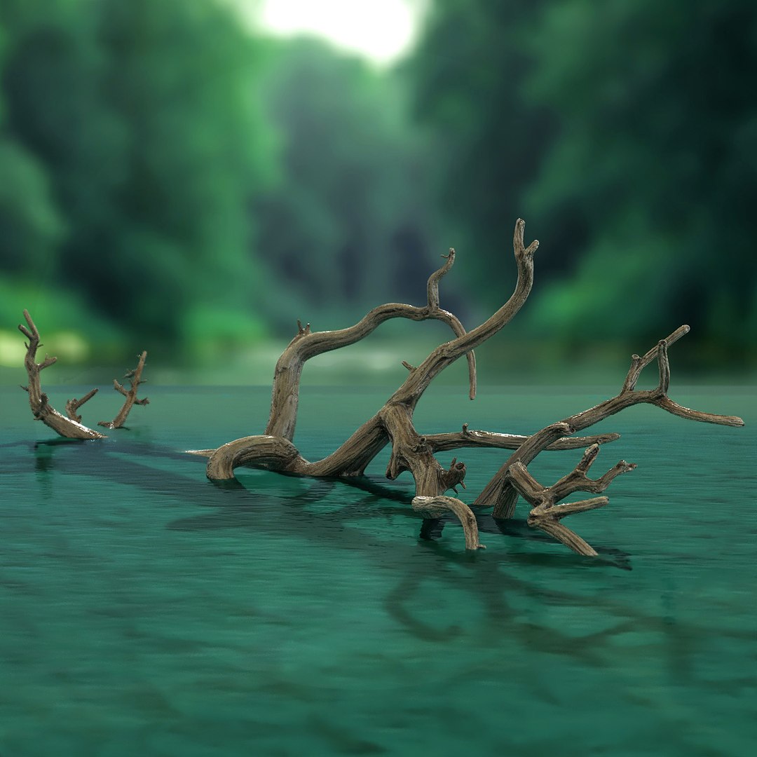 Wet Fallen Tree on Surface of River Water 3D model preview