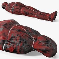 Autopsy Body Bag with Blood Stains