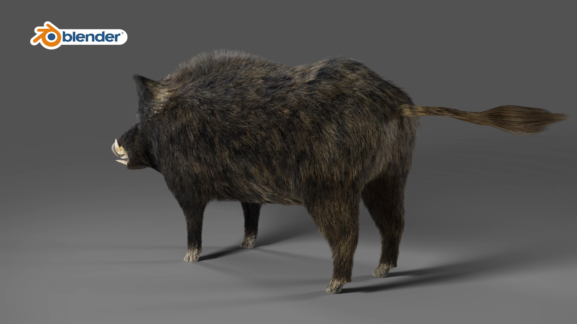 3D Fur Wild Boar NO Rigged In Blender - TurboSquid 1990605